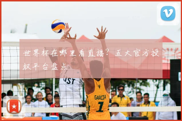 世界杯在哪里看直播？五大官方授权平台盘点
