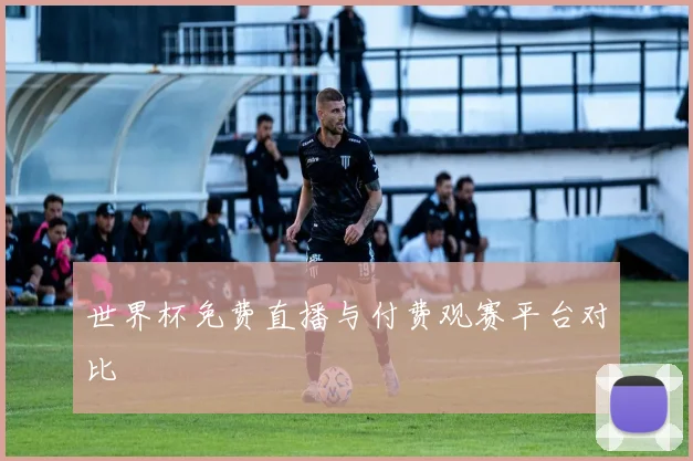 世界杯免费直播与付费观赛平台对比