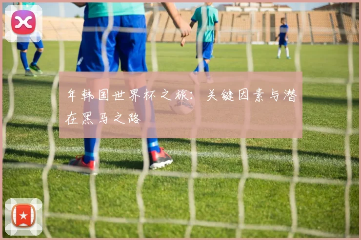 年韩国世界杯之旅：关键因素与潜在黑马之路