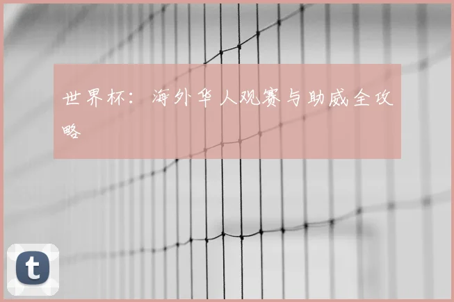 世界杯：海外华人观赛与助威全攻略