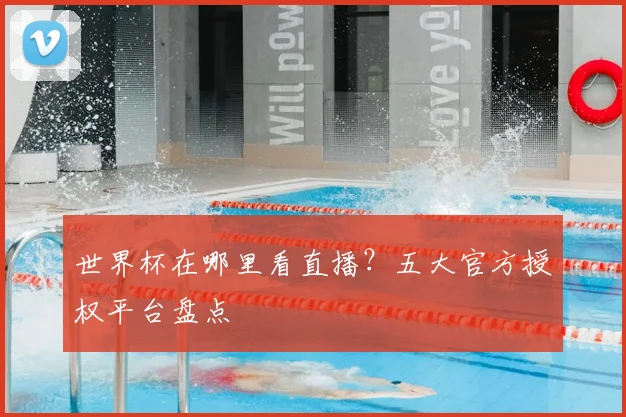 世界杯在哪里看直播?五大官方授权平台盘点
